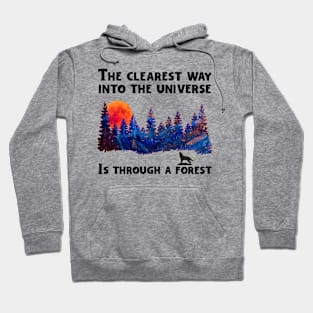 The Universe in a Forest Hoodie